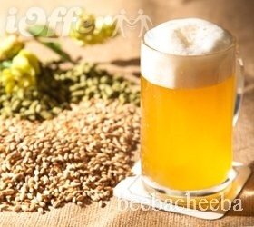 Beginners Guide to Brewing Beer